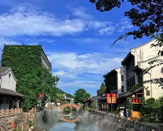 杭州八个中心镇，出炉！在今年的省委一号文件中，浙江提出建设“县城—中心镇—重点