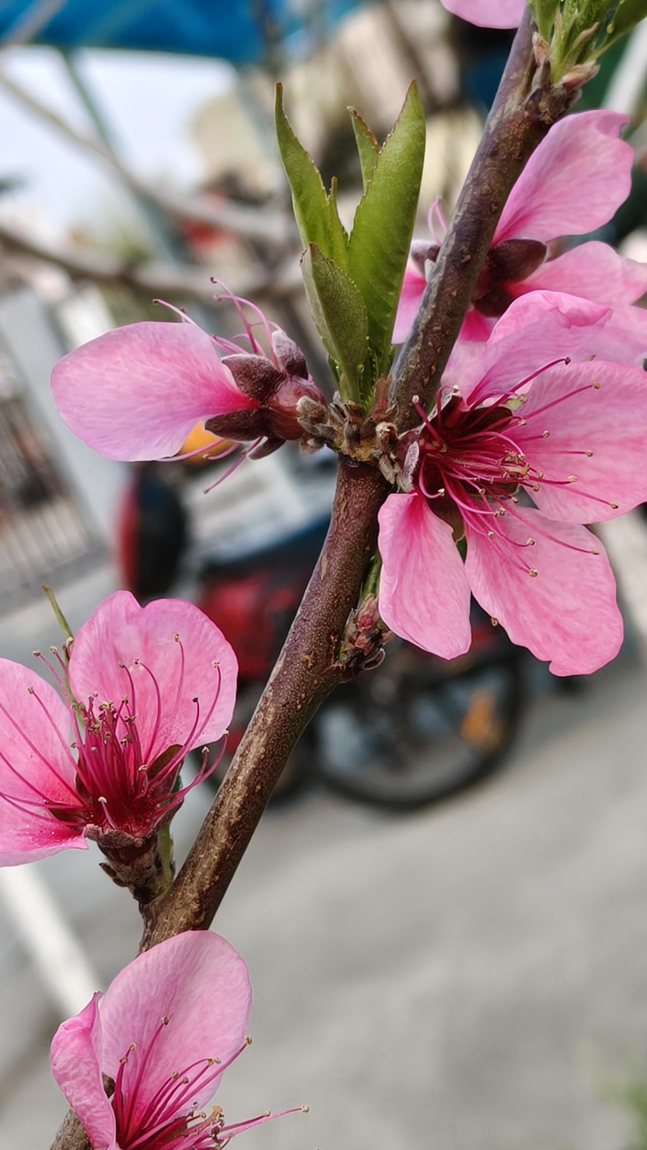 保姆休息日没有地方去，该怪谁？其实雇主和保姆都需要有自己的空间，适当放松一下，