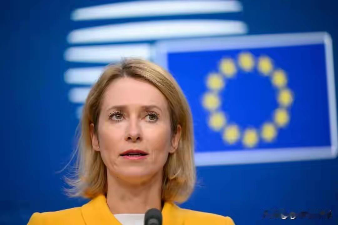 北约告急！美国甩锅、欧洲没钱，俄罗斯冷眼旁观内讧大戏欧盟外交高官卡拉斯接连