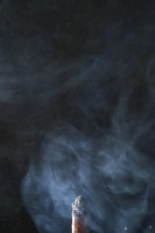 忽然想起来一个事情那就是：对于不吸烟的人来说，假如回农村老家过年的话，