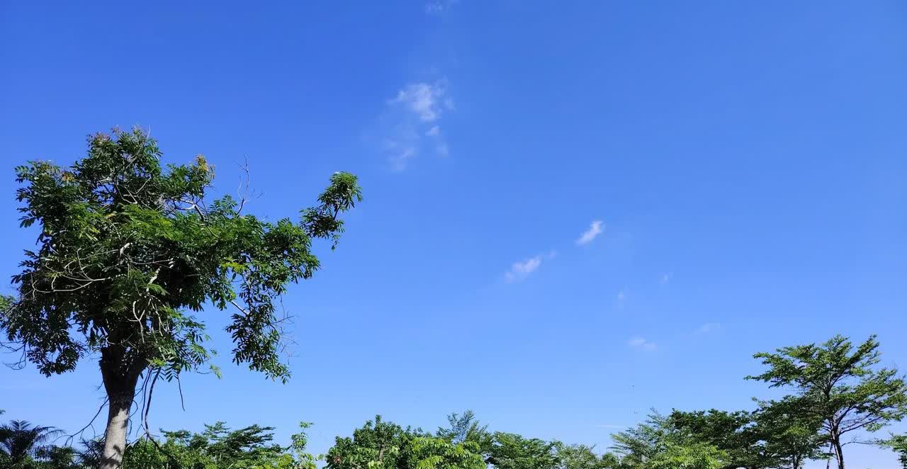 现在考个驾照也太难了吧！今年三月份我把科目一考了，刷了一个星期的题后，满