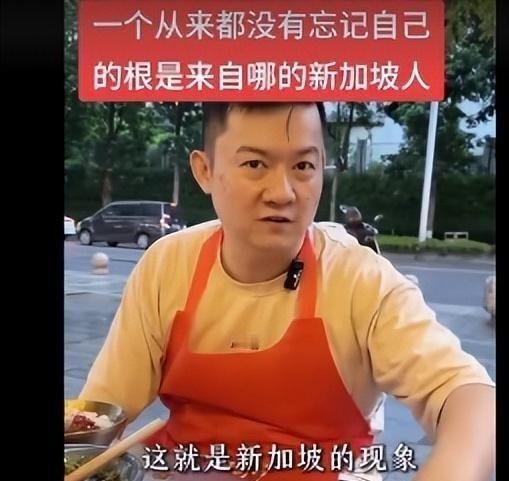 一位新加坡华人终于说了实话，他曾表示，在新加坡的华人，根本不在乎中国到底好不好，