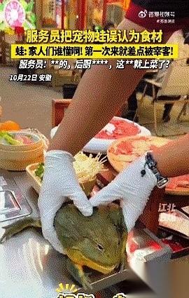 我真的会笑死。服务员一把把我朋友的宠物蛙抄起来就往后厨走,说要拿去“处理一下”