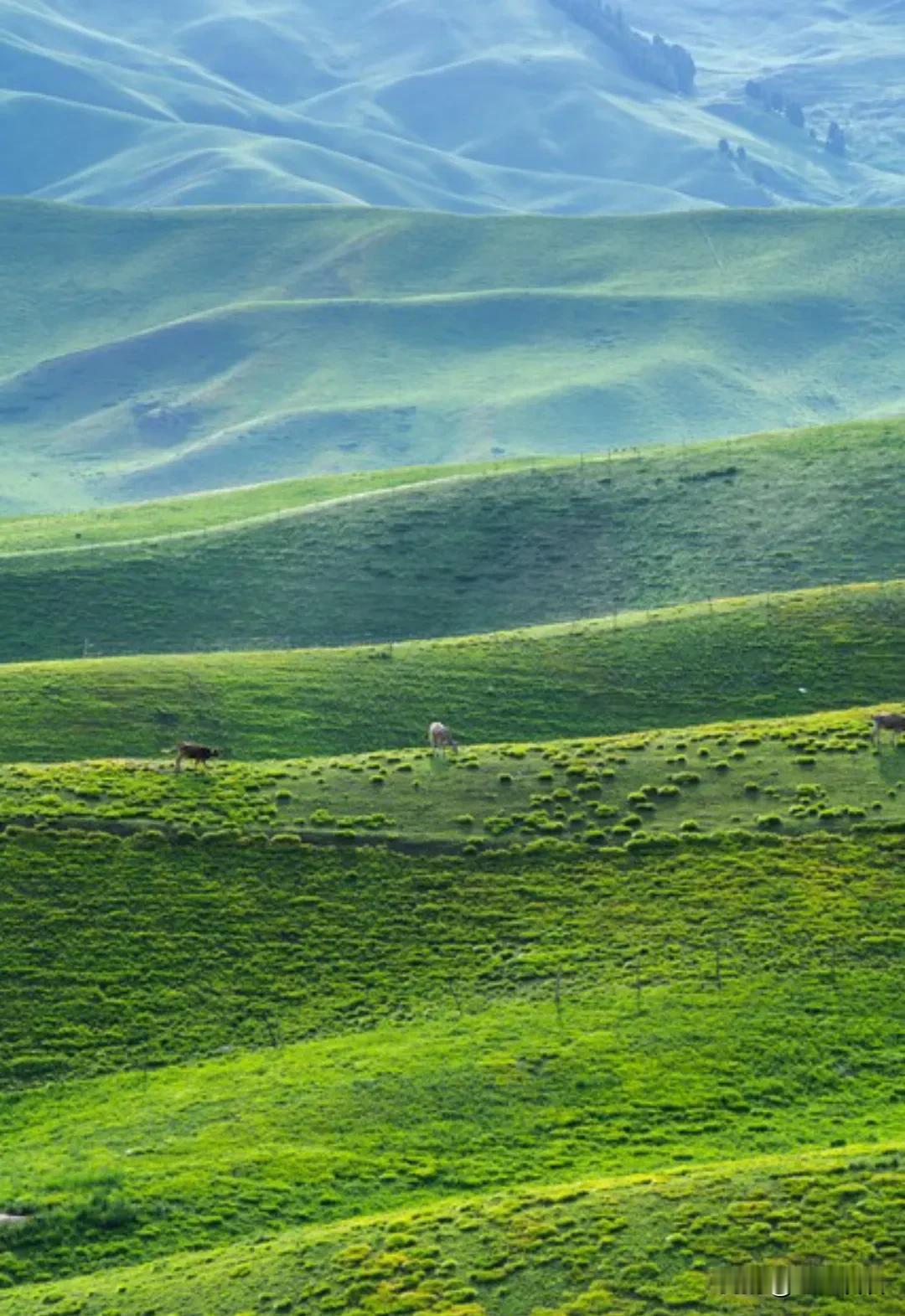 一位医院护工说：“一个生活不能自理的老人躺在床上，你去日夜不分地照顾两个月，你就