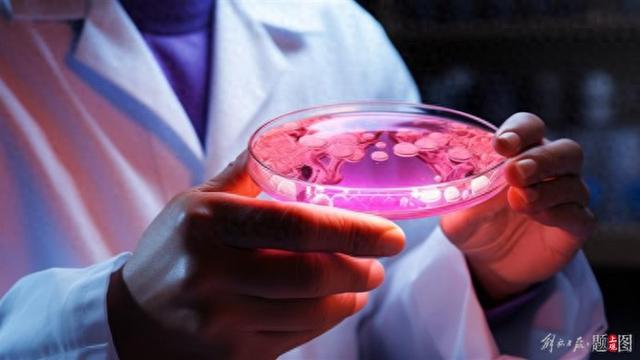 根除幽门螺杆菌, 我国科学家给出全新答案!