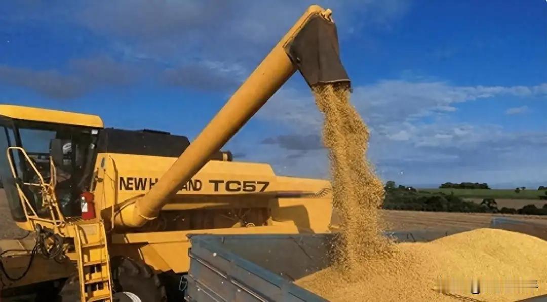 中国拒购涨价巴西大豆，巴西随即反制，并对华发起反倾销调查中国停止从巴西进口