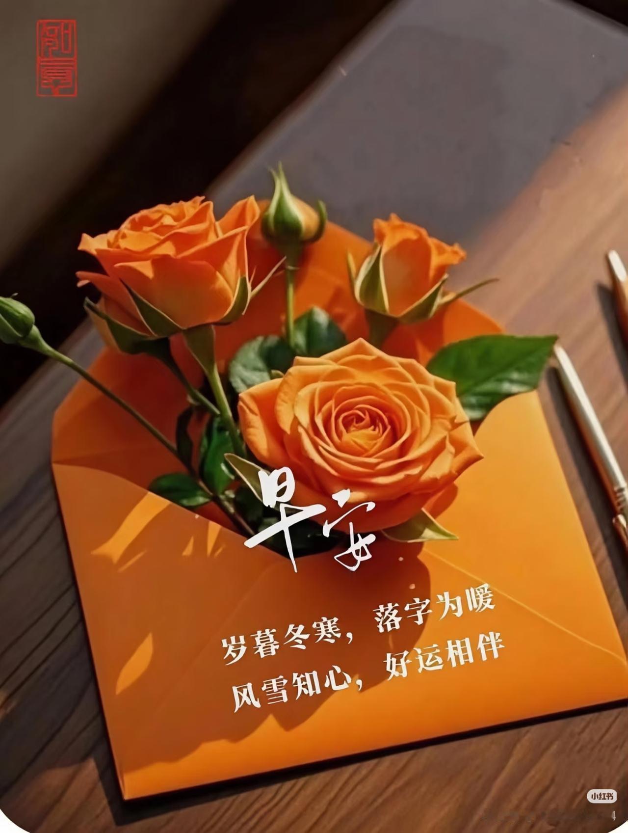 安稳，踏实才是真正的幸福，愿你每天安安稳稳，踏踏实实的过好每一天！余生健康才幸福