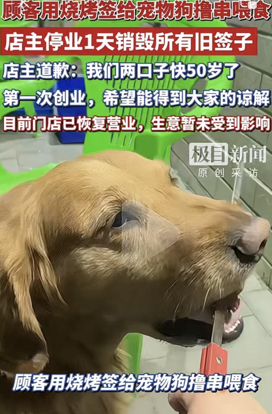 太无奈了！内蒙古赤峰一家烧烤店，一名女顾客带狗在店里吃烤串，结果这期间她竟拿起公