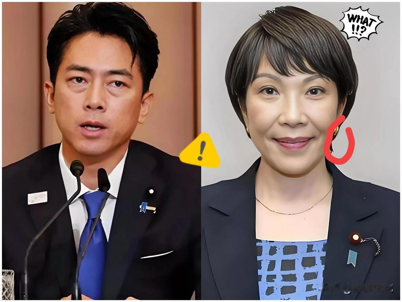 就在刚刚得知一个消息高市早苗首相及其内阁成员的个人及资产情况于12月5日