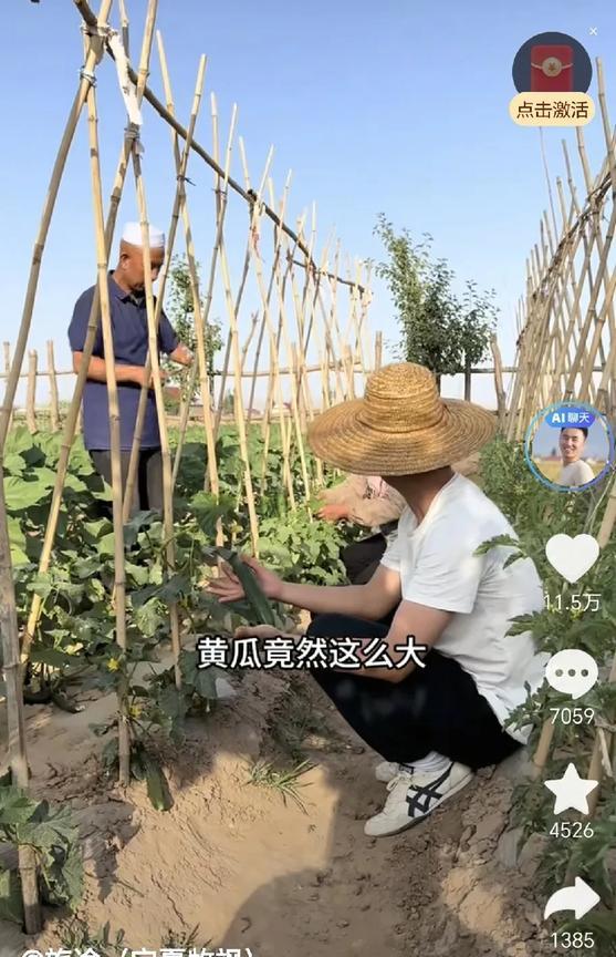 今天刷到牧萨和父母摘黄瓜的视频，我有点奇怪，我们这的气温比固原高，今年虽然干旱，