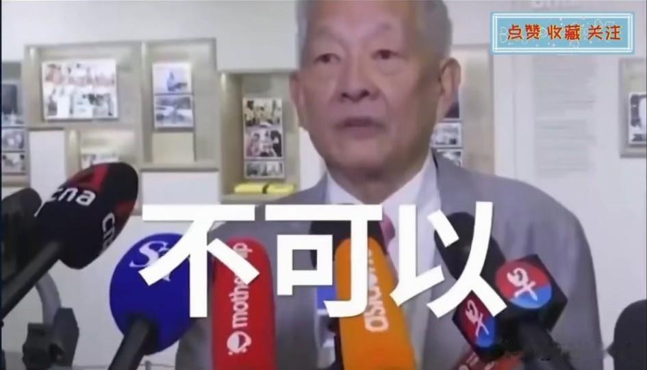 记者问新加坡总统候选人黄国松，可以讲华语吗？黄国松回答，不可以。这是什么意思啊？
