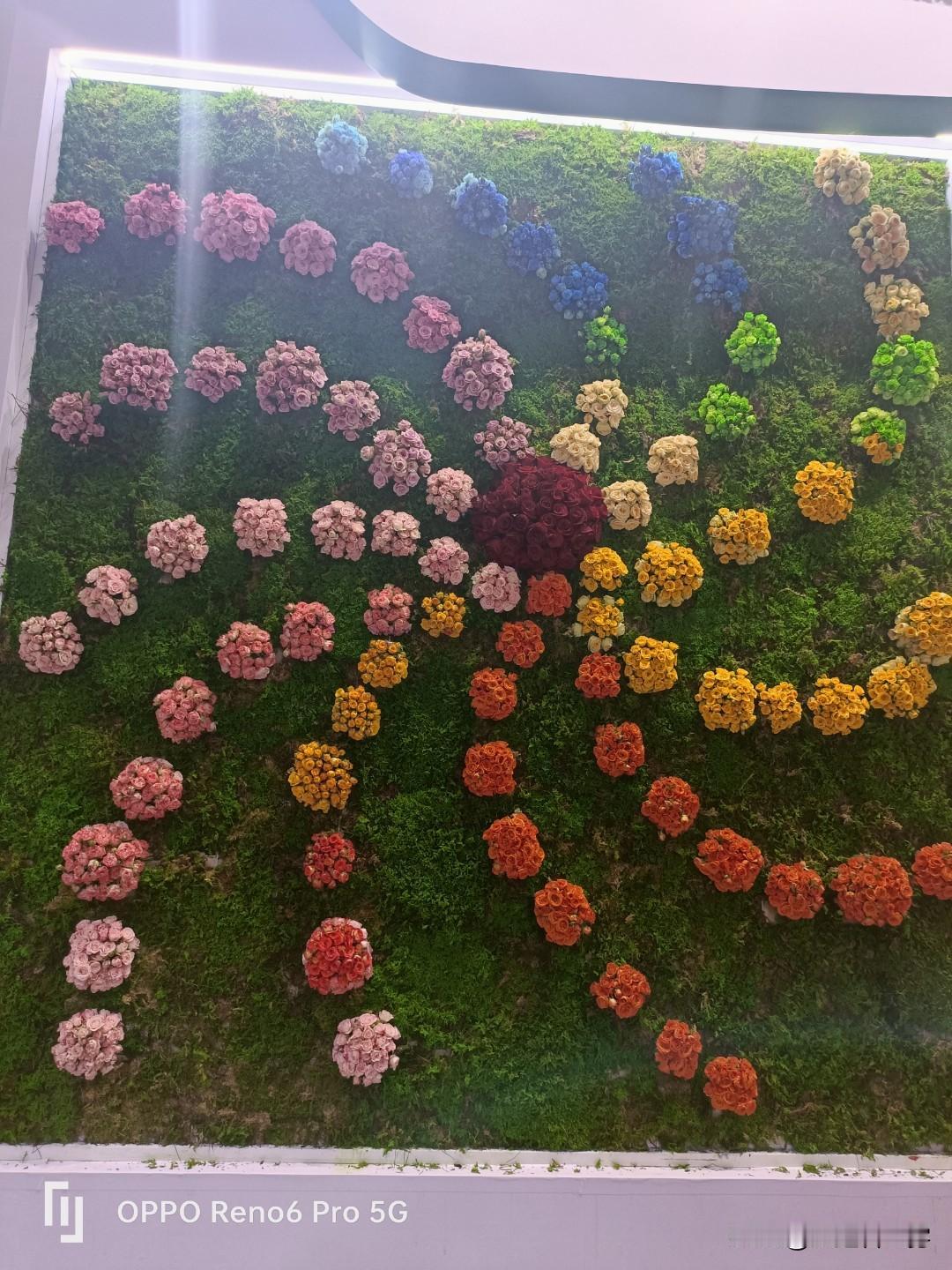 生育感悟:迟来的醒悟79年出生的朋友，46岁了,你们孩子都上大学了吧，我朋友