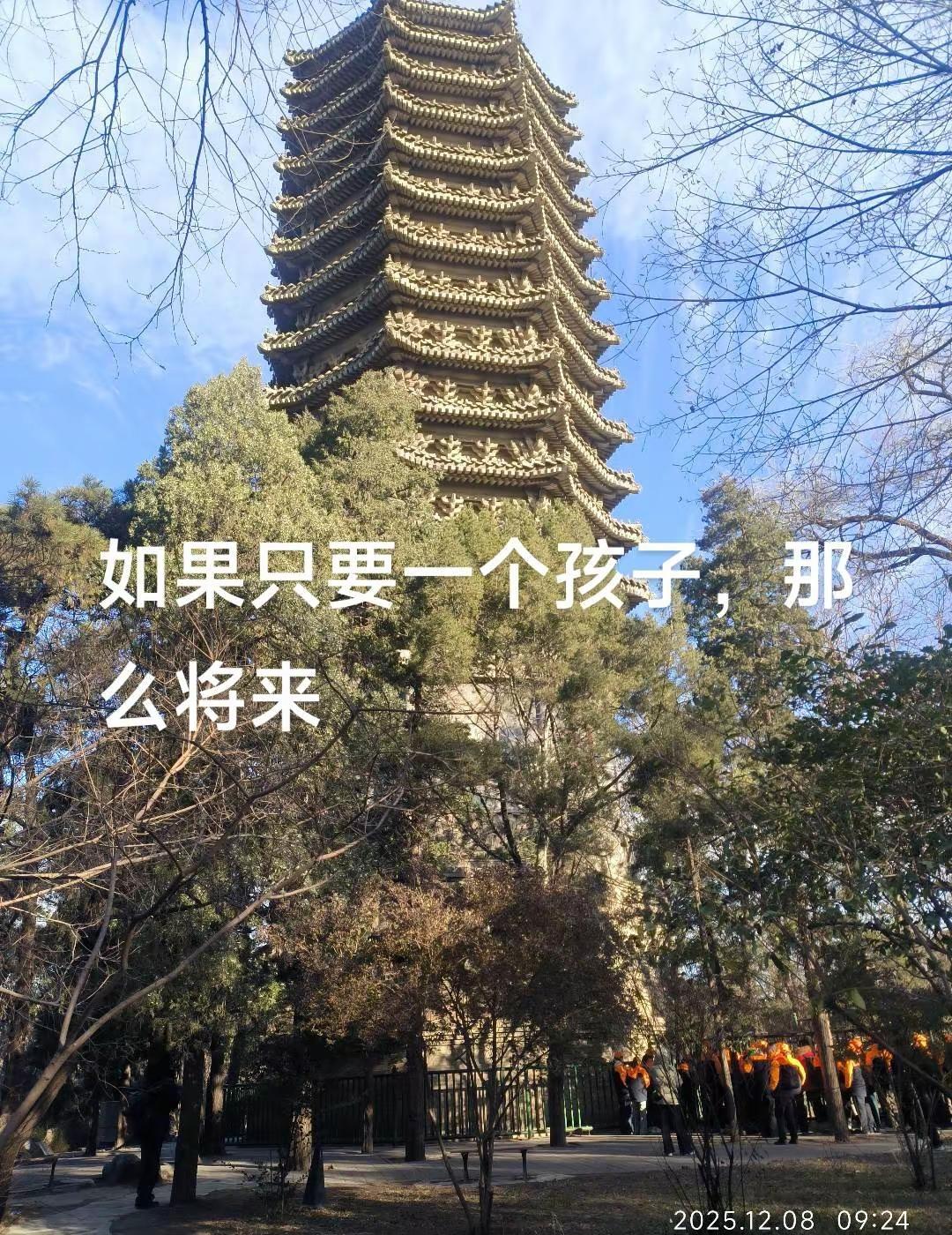 如果一个独生女和一个独生子结婚了，婚后只要一个孩子，那么当这个孩子长大后如果选择