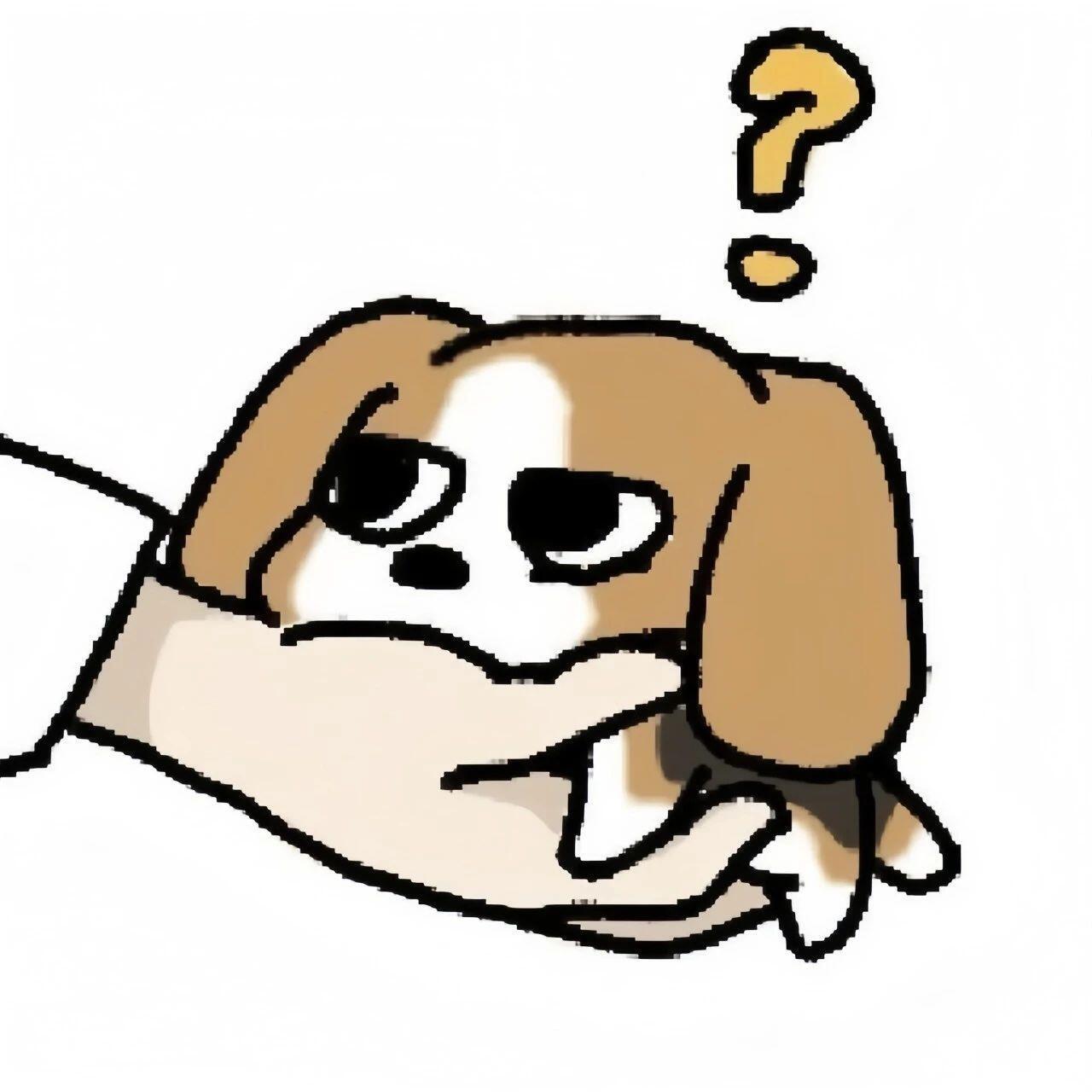 是你没见过的比格多栋​​​