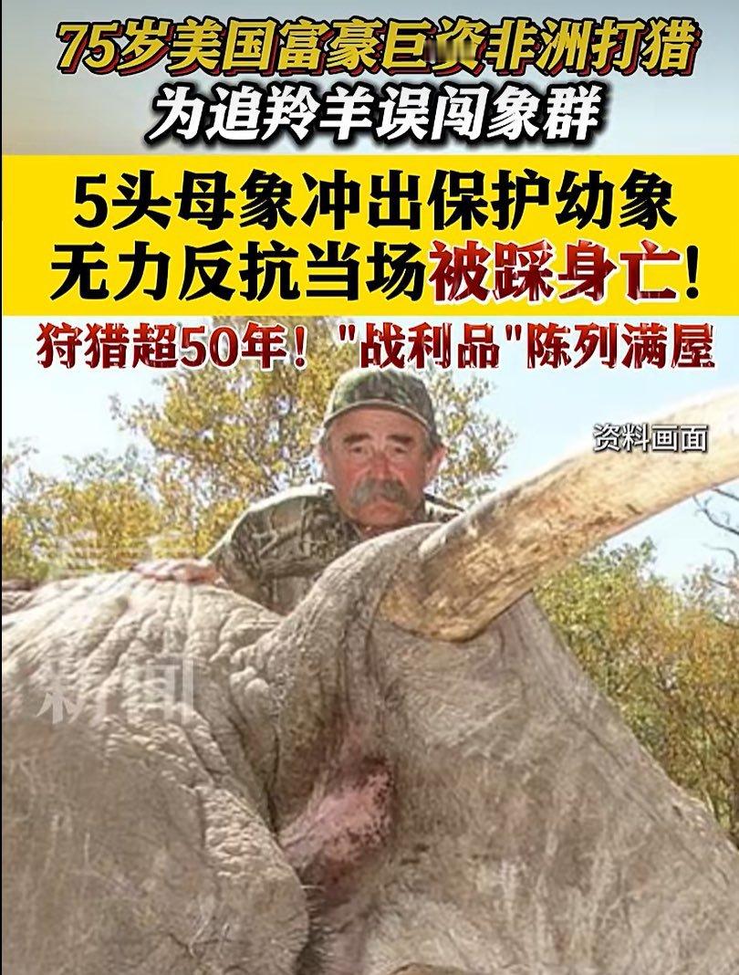 据看看新闻报道，75岁加州葡萄酒大亨厄尼·多西奥斥巨资非洲打猎，被5头大象当场踩