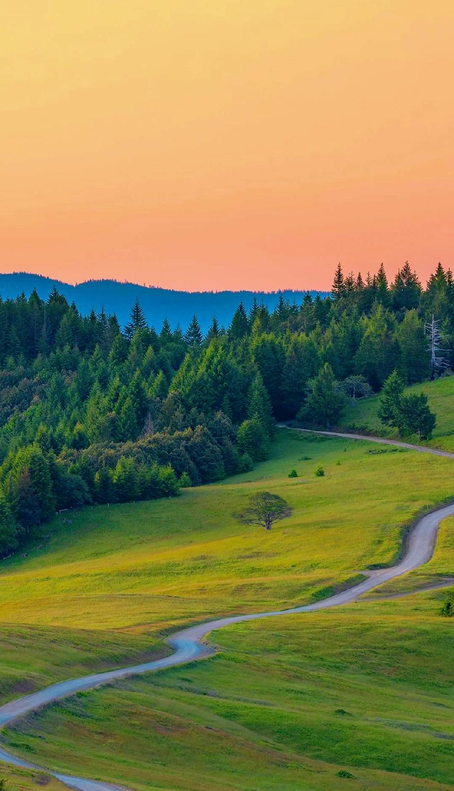 一个女健身教练说：“瘦，不是目的。它只是一个信号——代表我终于开始，好好生活。