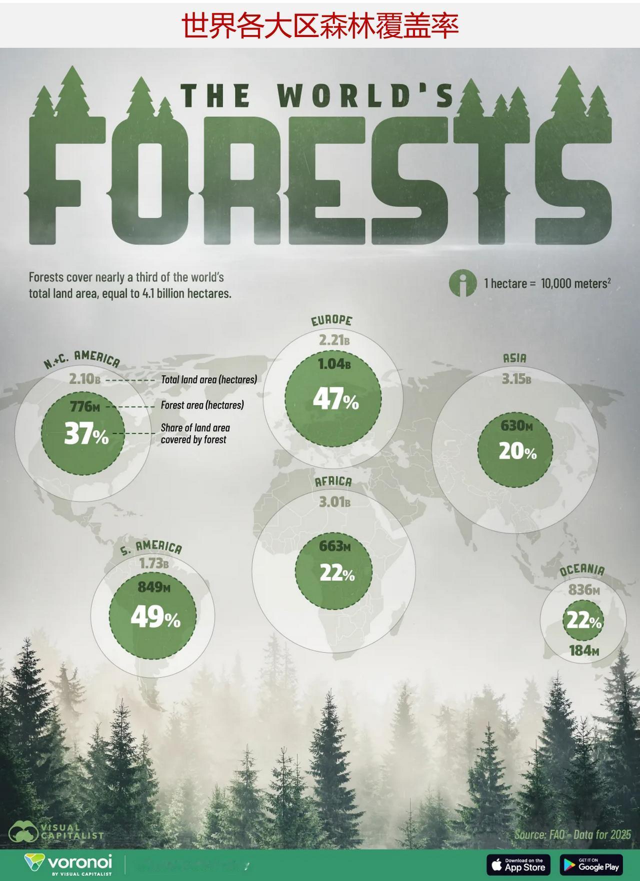 全球哪些地区森林覆盖率最高？如今，森林覆盖了地球陆地总面积的32%，面积总