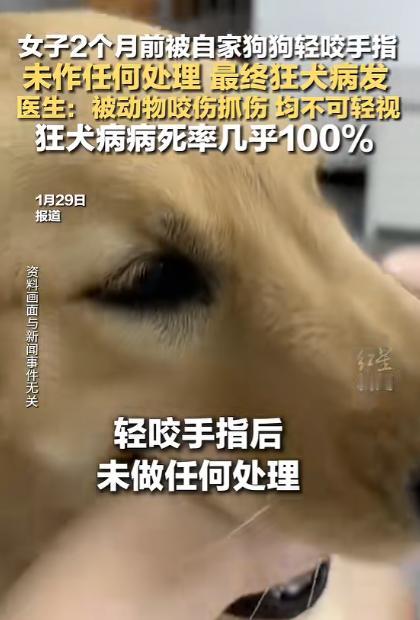 2025年11月，湖南长沙，一女子不小心被家中小狗咬伤了手指，见伤口比较小，就没