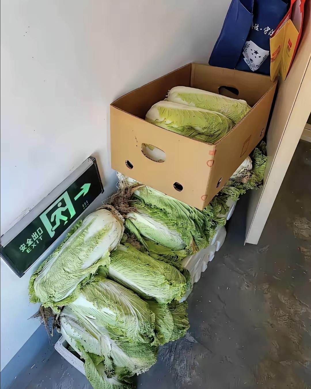 最近发现旁边家住的三口人，突然在楼道口摆了二十棵大白菜。那菜放那儿都三天了，眼看