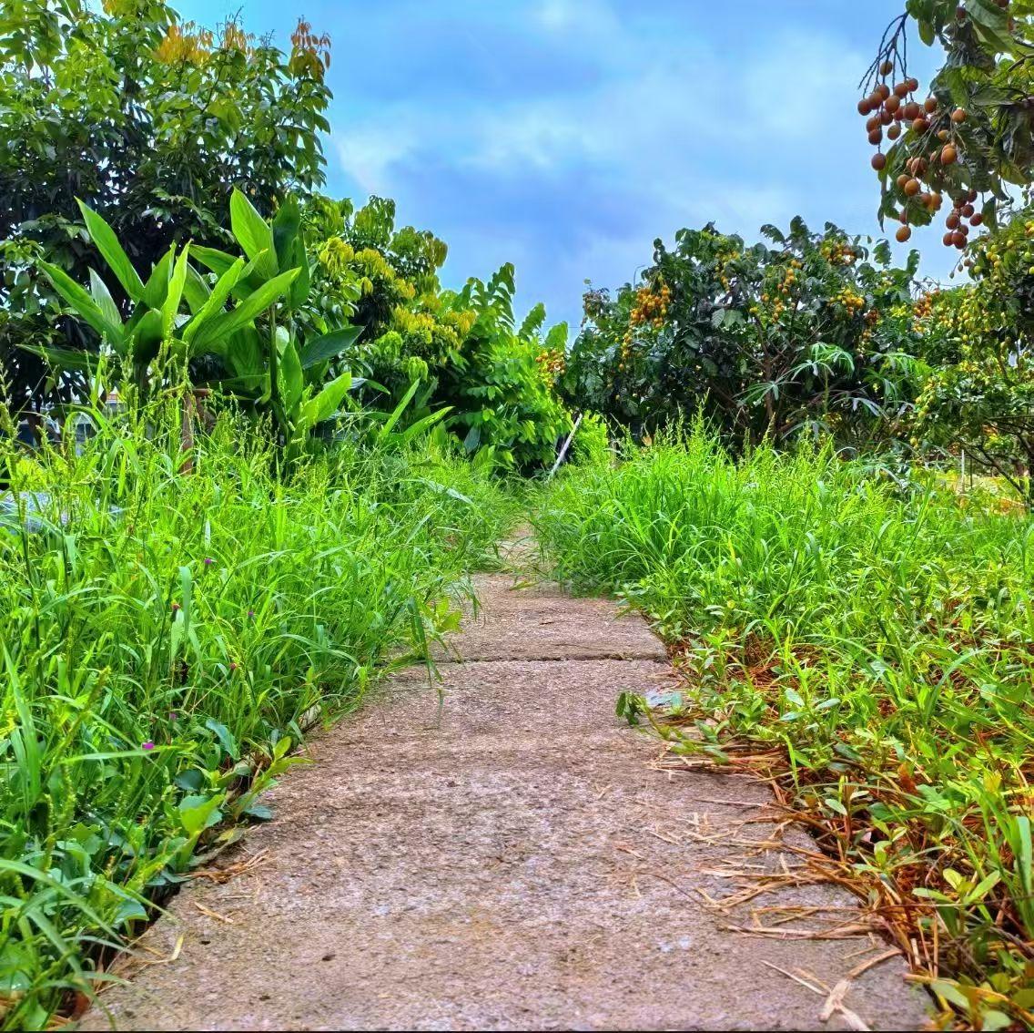 随手拍公园美景