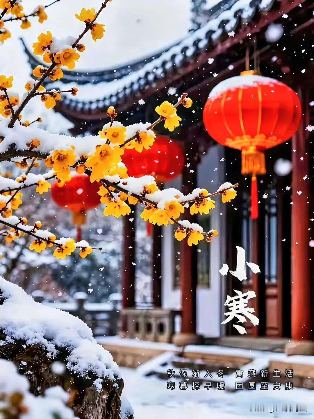 今日，小寒节气已然来临！小寒暖语小寒节气问候语小寒节气图今小寒小寒问候语