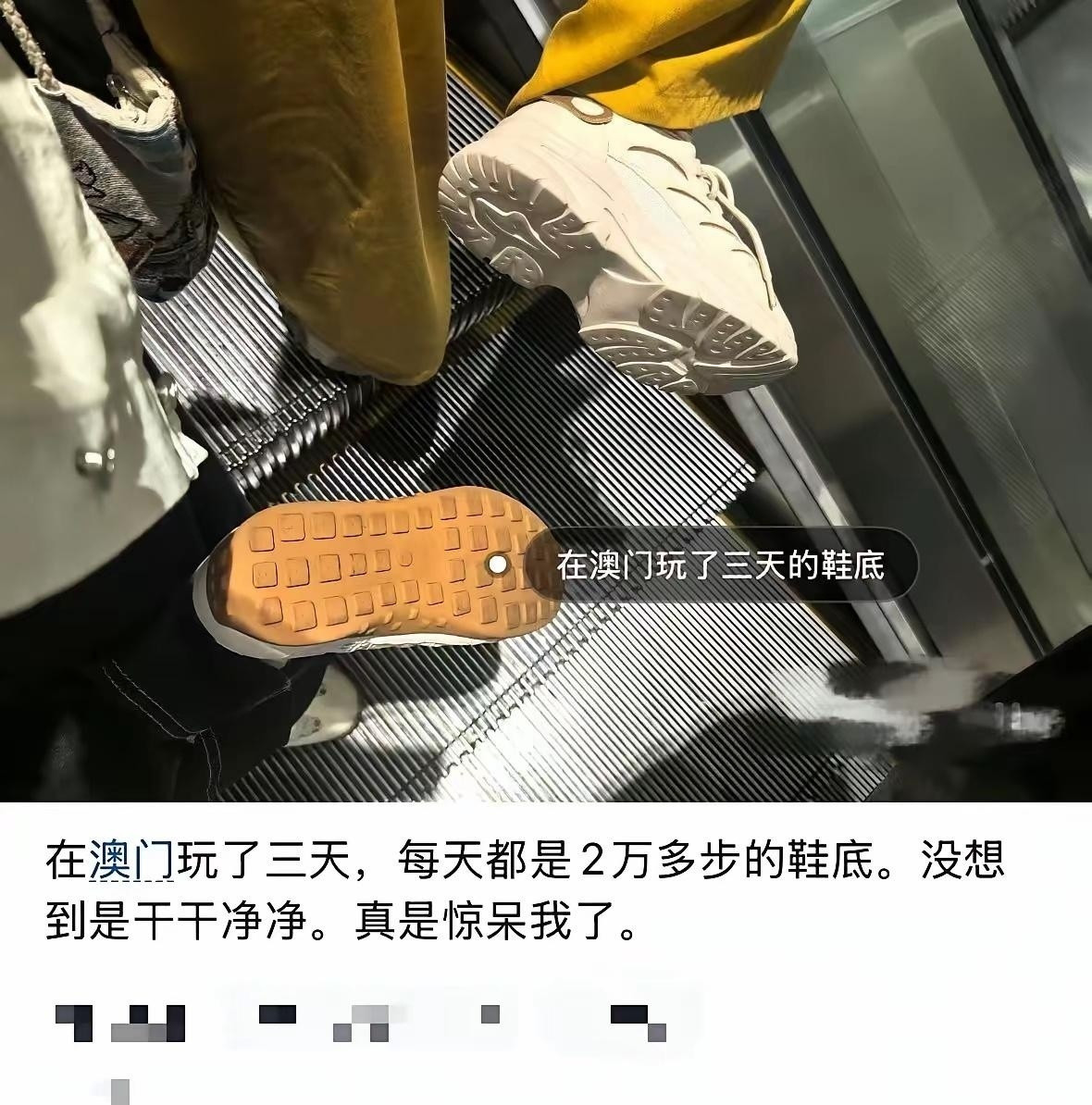 被澳门的干净程度震惊到了