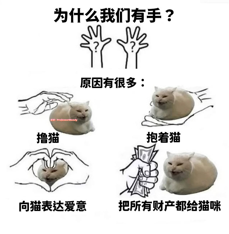 没错！meme