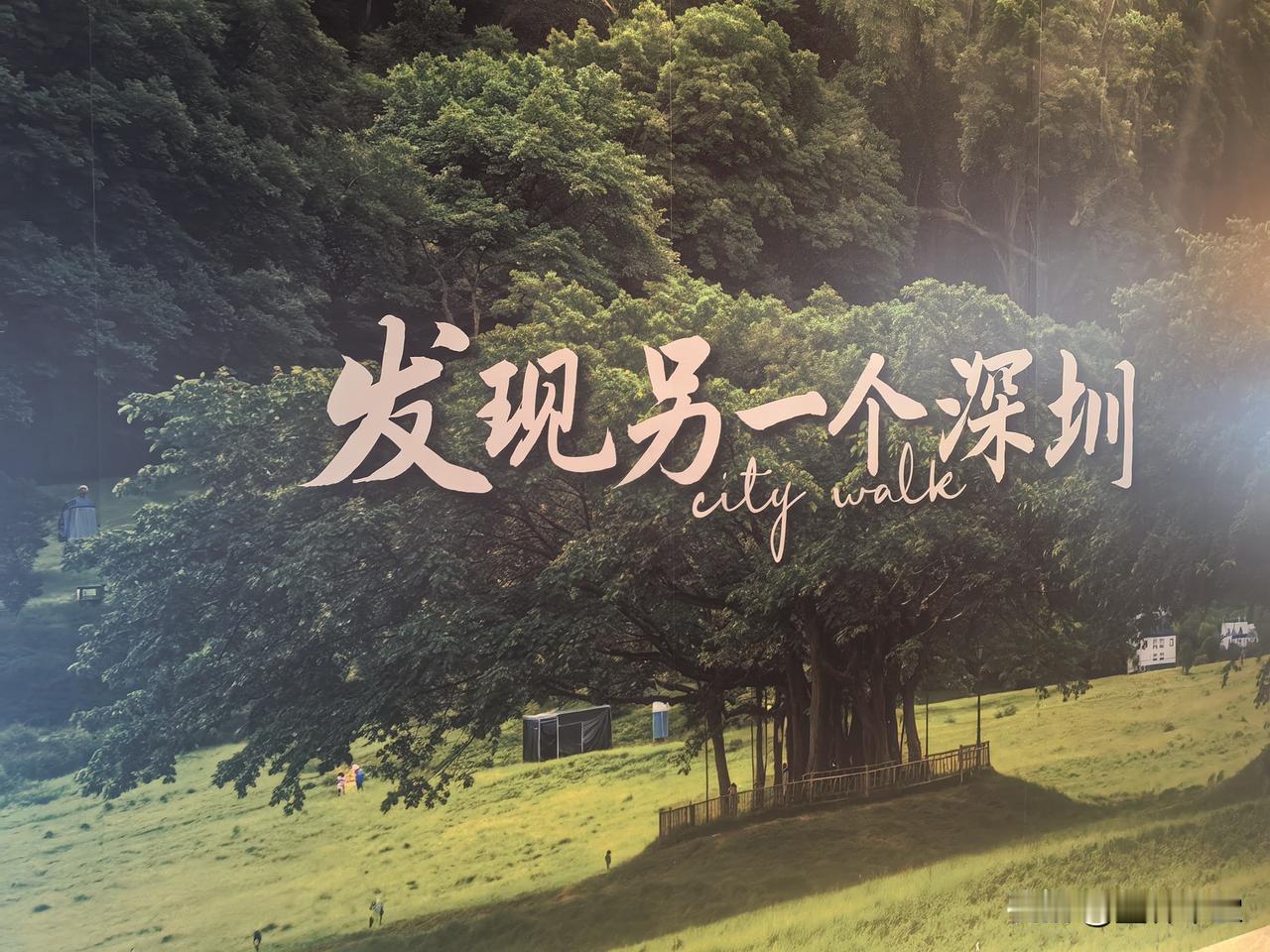 发现另一个深圳，告别摩天楼与快节奏，深圳的另一面藏在烟火与山海间。公明老街的岭南