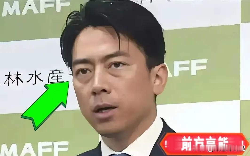 突然摊牌！日本刚刚传来大消息又要搅事了！这次是对台海问题的表态。2025年11
