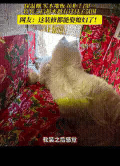 谁见过给狗狗烧炕的？北方大哥为了让狗子过冬，把狗窝改成暖炕，一开火直接“仙气”飘