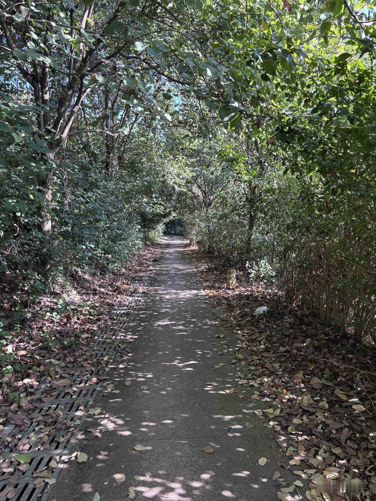 ---别再用命换钱了，那是最笨的法子很多人到现在还没想明白，现在赚钱最大的机