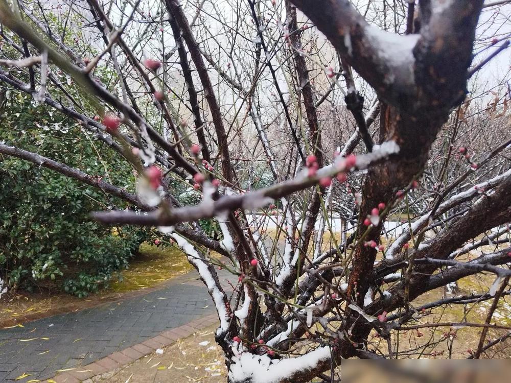 有位老师说，孩子14～18岁是关键时期，也是容易出问题的时候。最近和几个老同