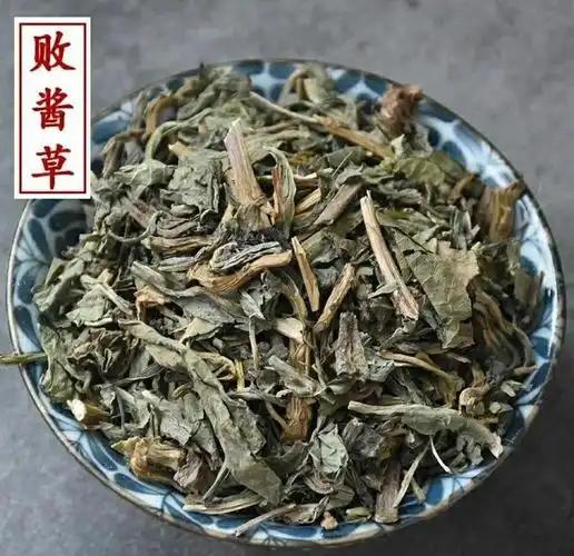 这药食两用败酱草，能治胃酸、还能杀灭幽门螺杆菌败酱草别名苦菜，是一种田间地头