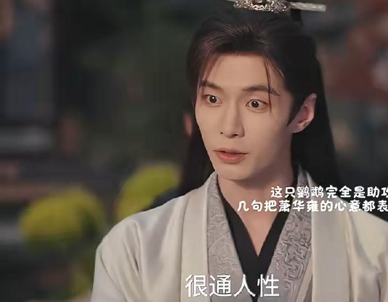 《百花杀》22-23集预告:萧华雍和沈汐和婚后也太太太甜了～萧华雍宠妻石锤啊