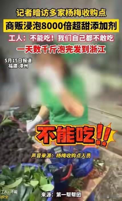 越扒越心惊！福建杨梅泡药黑幕再升级，广州市场也中招，果农哭惨了谁能想到，初