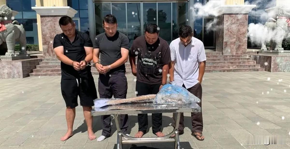 金边4名绑匪杀害两名中国人落网。4个绑匪落，其中有两个是中国人。说几点：1