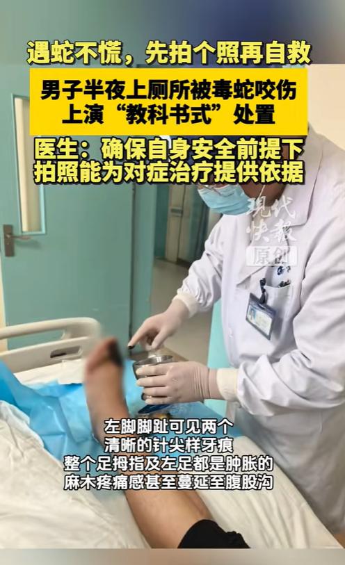 男子半夜上厕所被蝮蛇咬伤近日，江苏泰州的王先生半夜上厕所，被一条伺机潜入的毒蛇