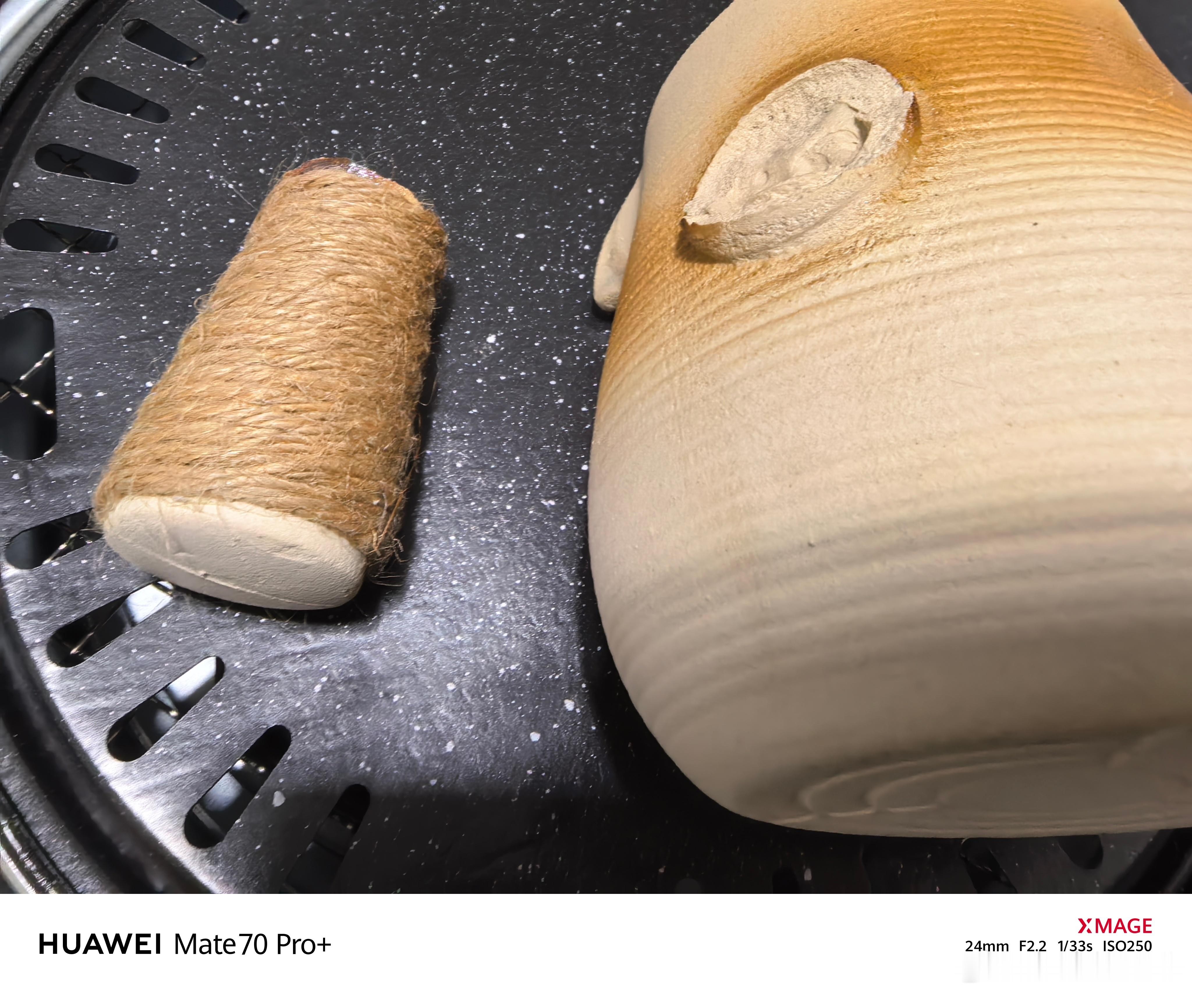 两只猫是不是该打了