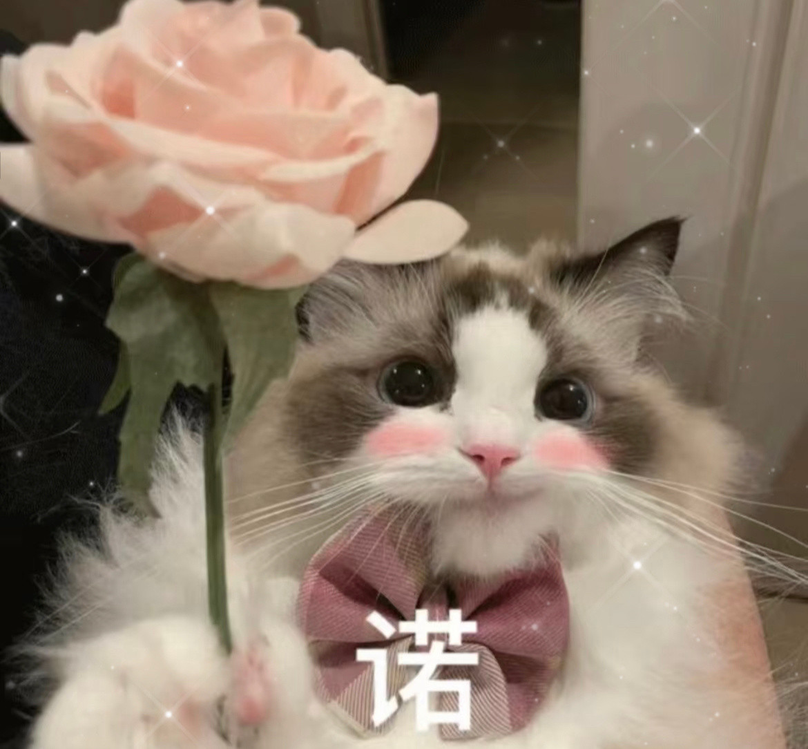 北京本周五要来暖气啦家人们早～好消息：北京终于舍得供暖了早安​​​