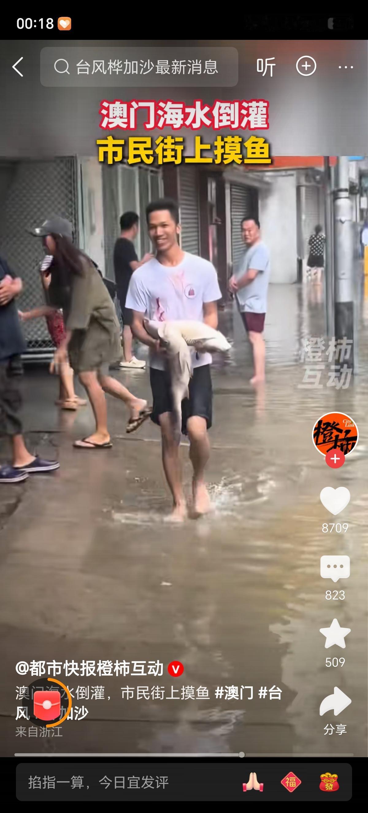 澳门海水倒灌市民上街“摸鱼”这也太幸福了吧，都是大鱼啊，瞧这捉鱼的人们人手一条或