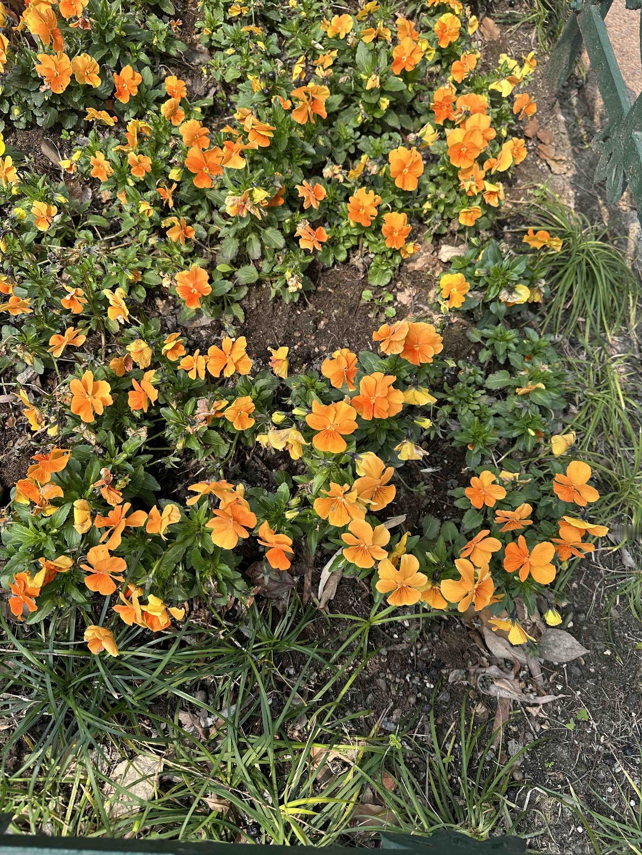 人到一定年龄才明白：养身体不如先养“病根”，这七条把中年人的命门掐准了。下面