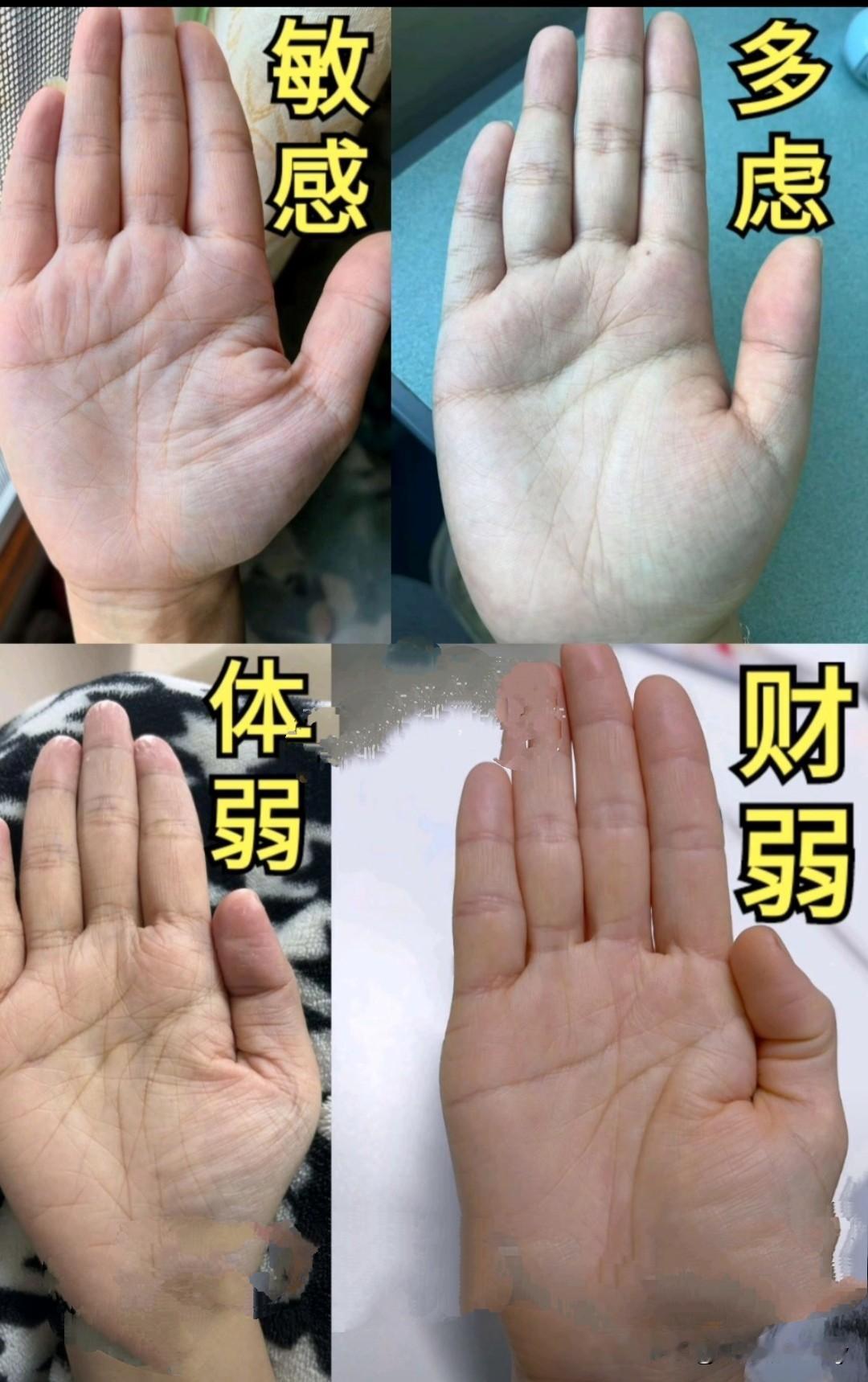 瞧瞧你的手掌是什么模样？掌杂乱而指规整，财富恐将减半。指纷扰而掌有序，忙碌不