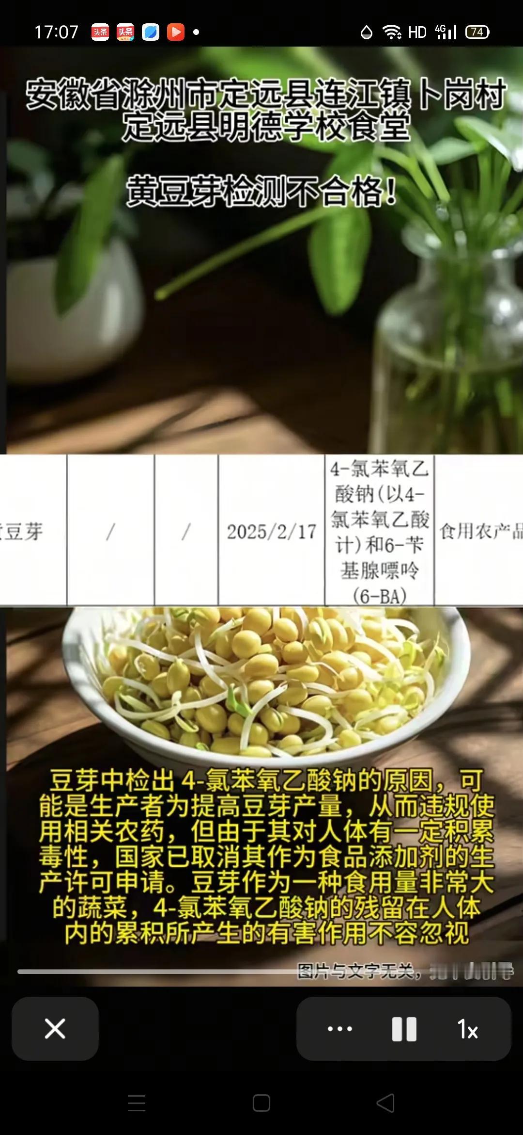 今天刷抖音看到老家一偏远农村学校食堂所用蔬菜––黄豆芽检测不合格！要对学校严格处