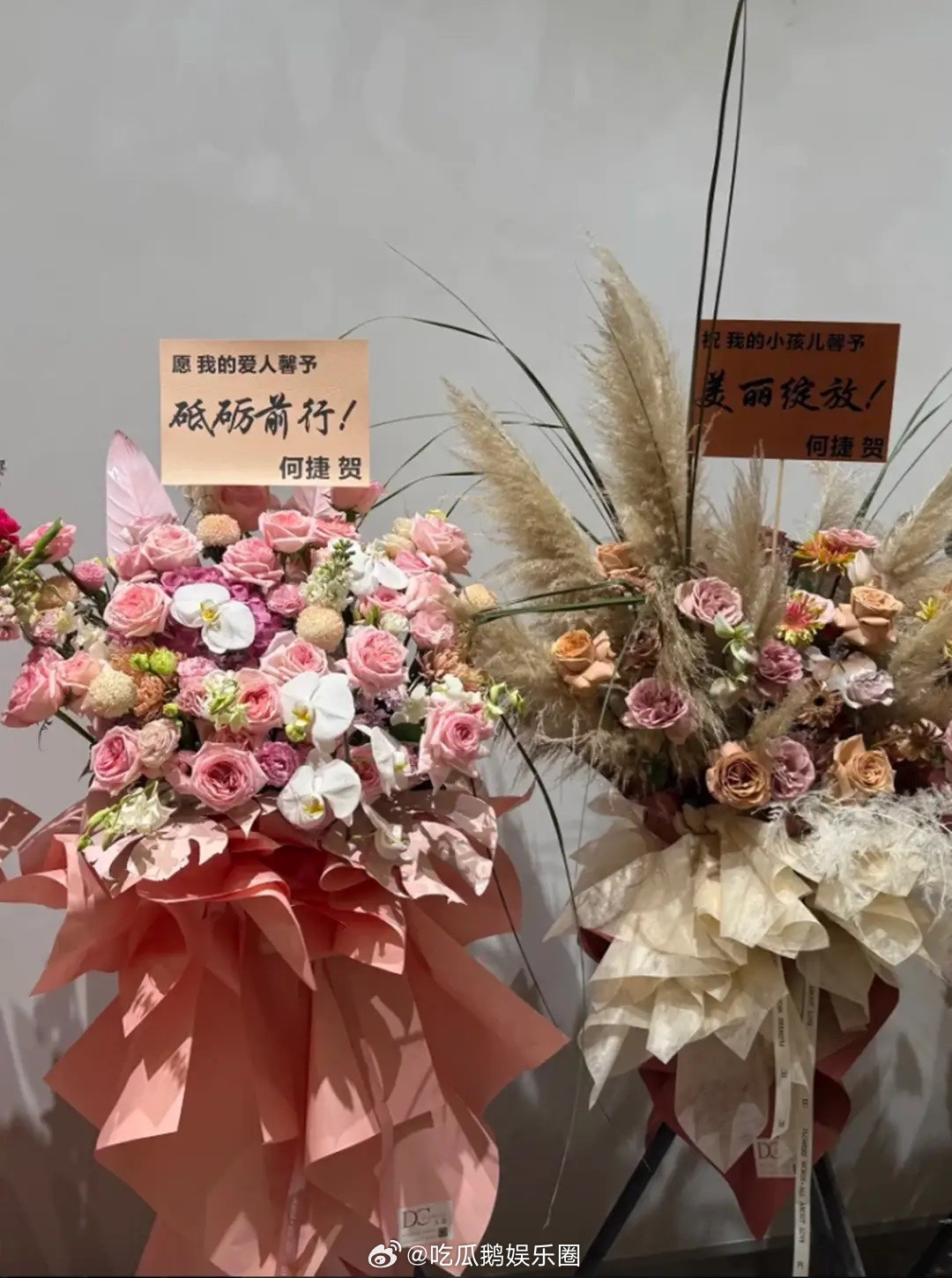 张馨予苏州演出，何捷和爸妈还有岳母大力支持，对妻子称呼好肉麻！