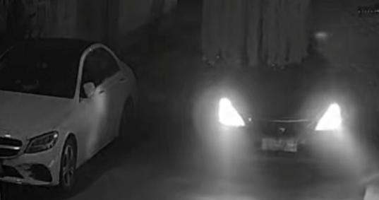 河北邯郸，一老人早起晨练时，被提前埋伏好的2个侄子故意开车撞倒，然后又从老人身上