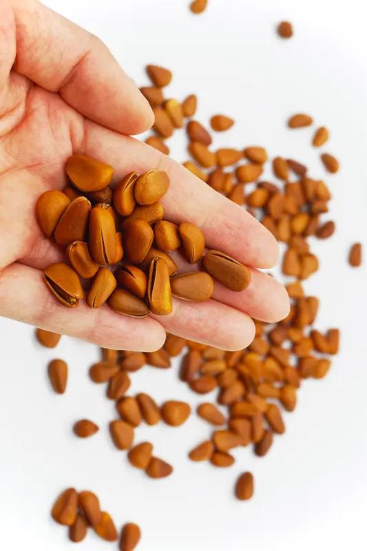 200元一斤炒货刺客！随手一抓上百块，过年连瓜子都嗑不起了家人们，过年买年