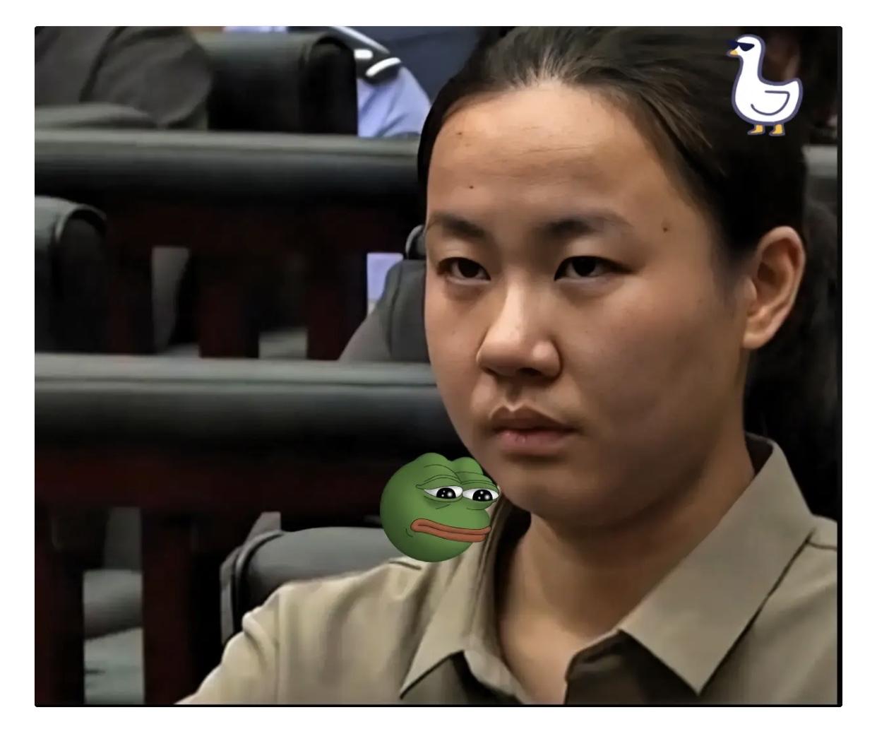 仔细查了一下明珍珍不查不知道原来明珍珍竟然是双重人她是果敢人，但户籍地是云