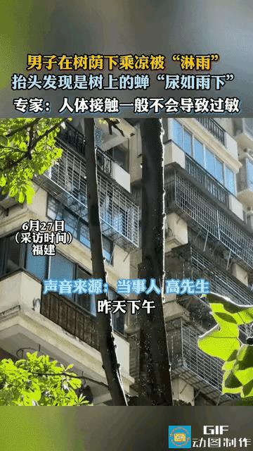 “意想不到的小插曲！”福建，男子在屋里觉得闷热，就跑到楼下的树荫下乘凉，感受着自
