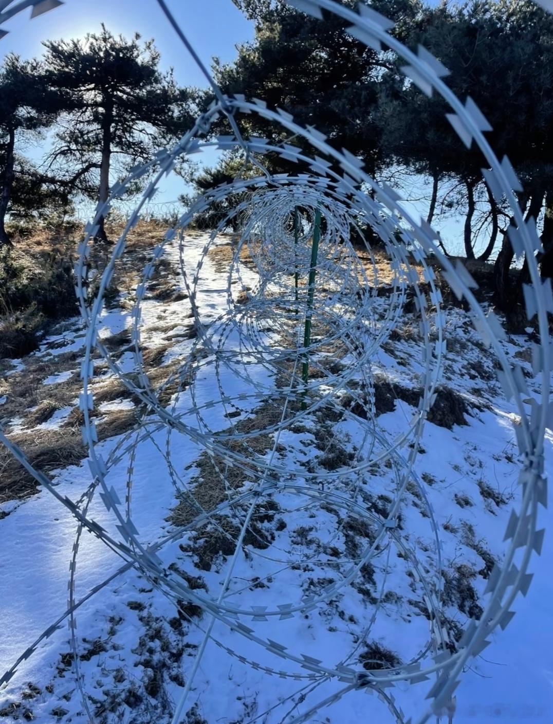 泰山疑被135公里刀片铁丝网围住刀片铁丝网仅铺设在未开发野林区、防火隔离带边缘