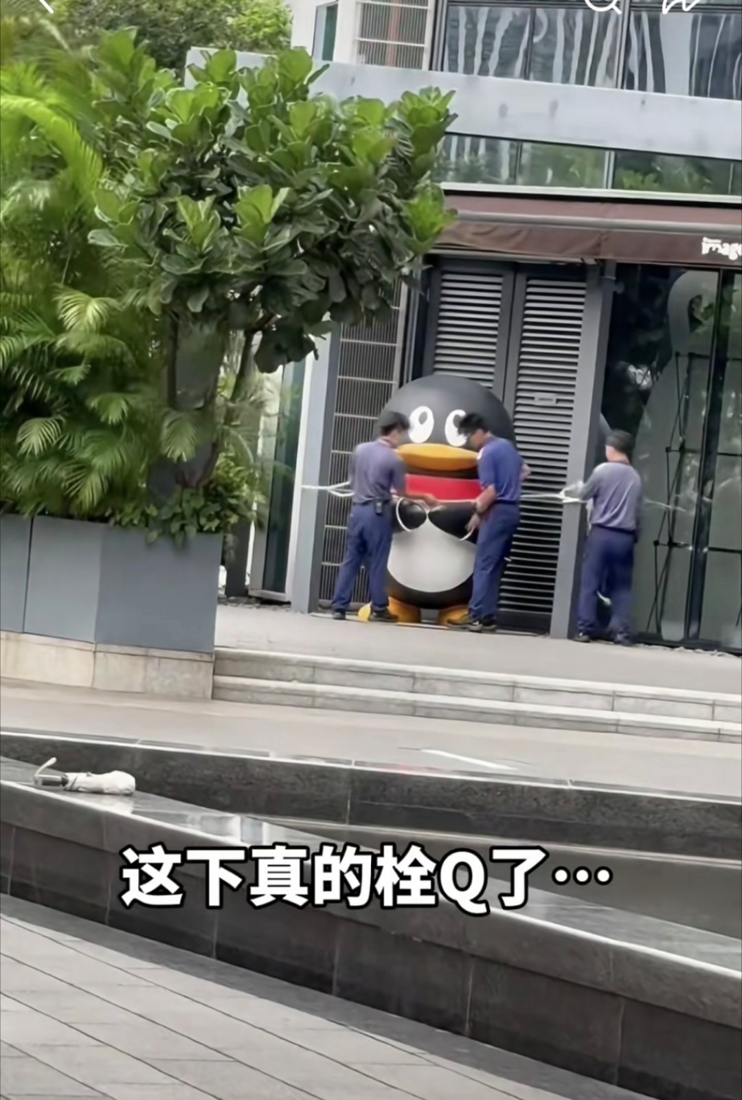 两个小时前我才刷到这只鹅被捆绑，这会儿已经被吹飞了[笑着哭]​​​